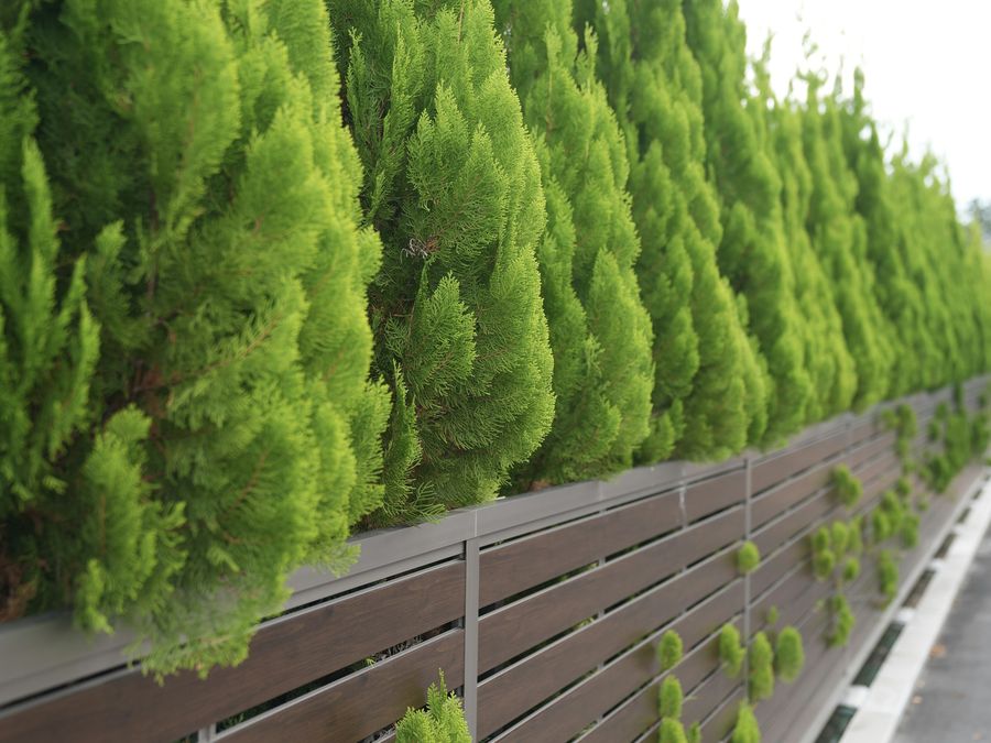 Moderne Zaunanlage entlang einer Hecke